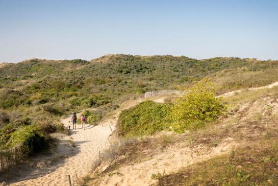 Duinen in het Westhoeknatuurreservaat