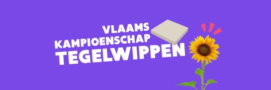 Vlaams kampioenschap tegelwippen