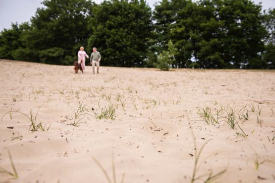 Lente in de duinen, 2 mensen wandelen