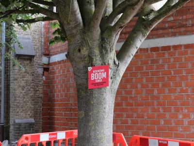 Bomen in de werfzone worden beschermd